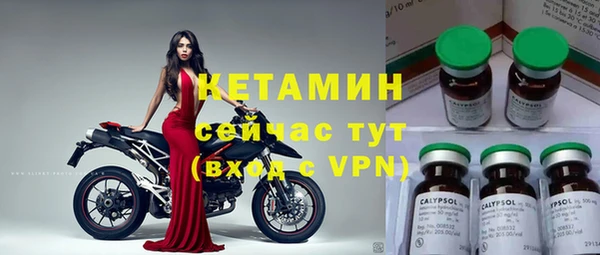 индика Гусь-Хрустальный