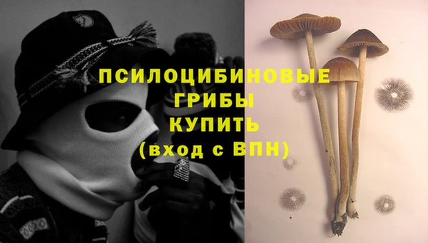 шишки Ахтубинск