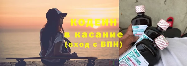 индика Гусь-Хрустальный