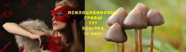 индика Гусь-Хрустальный