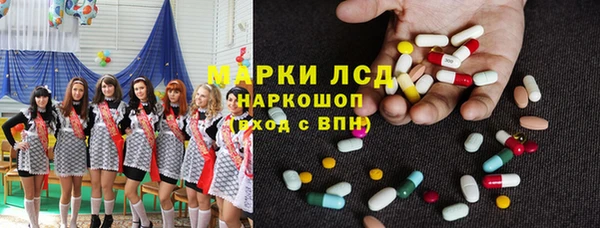 индика Гусь-Хрустальный