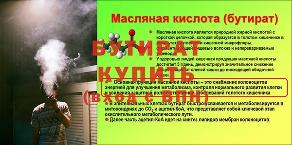 индика Гусь-Хрустальный