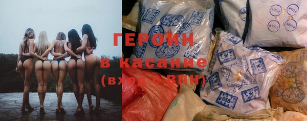 индика Гусь-Хрустальный