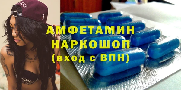 индика Гусь-Хрустальный