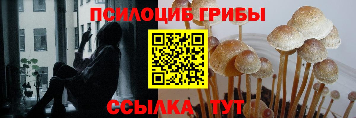 Псилоцибиновые грибы MAGIC MUSHROOMS Дальнереченск