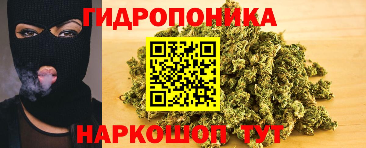 Шишки марихуана семена Дальнереченск